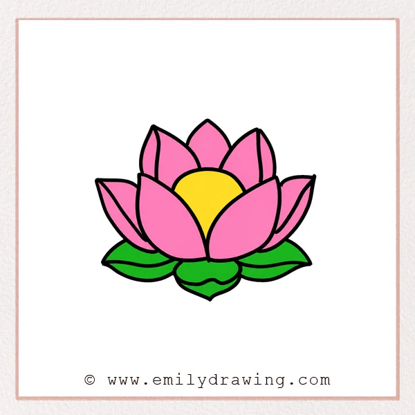 Preview of Lotus Flower drawing
